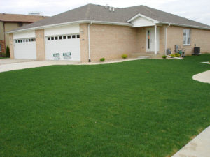 exterior of home with green lawn