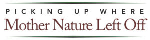 Picking up where Mother Nature Left off