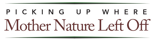 Picking up where Mother Nature Left off