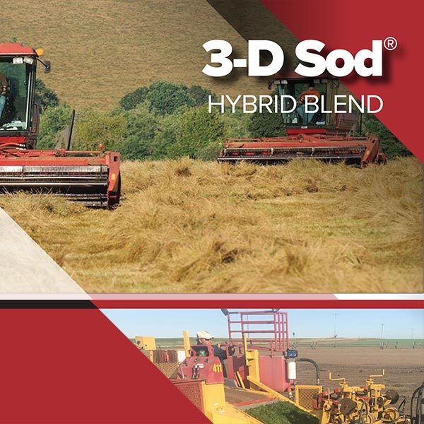 3-d-sod-hybrid-blend