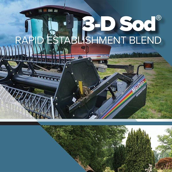 3-d-sod-rapid-establishment-blend