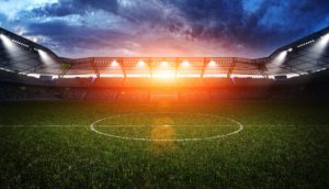 Sports Turf Grass - stadium