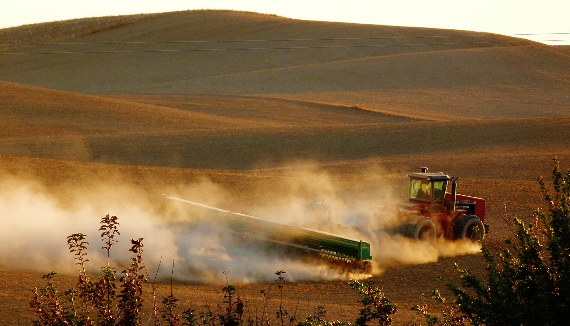 Enhanced Seed Technologies