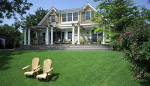 summit-seed-grass-header