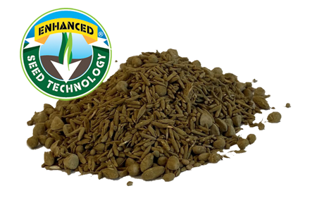 Seeds1
